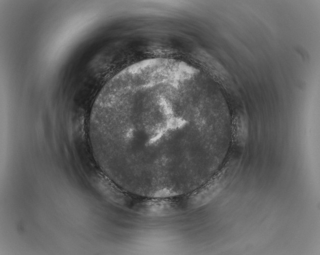 X0000111140762200907281112