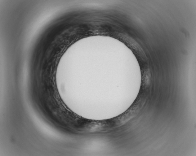 X0000111140764200907281112