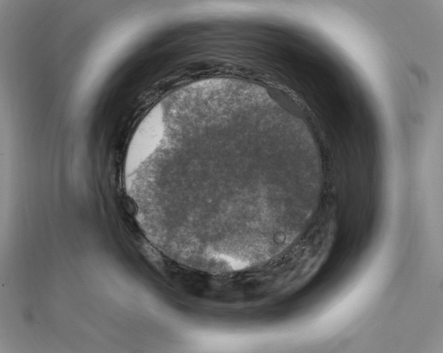 X0000111140766200907281112