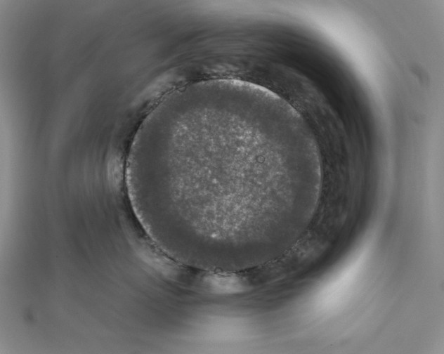 X0000111140767200907281112