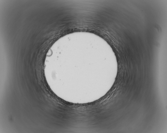 X0000111140769200907281111