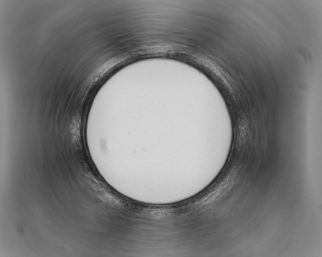 X0000111140778200907281111