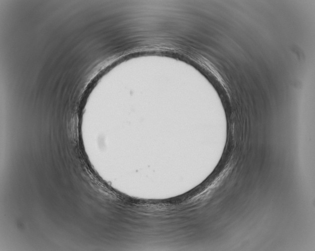 X0000111140781200907281111