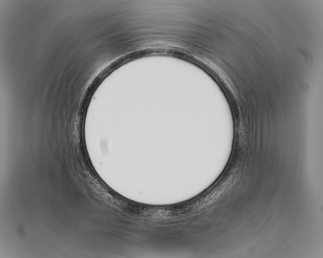 X0000111140783200907281111