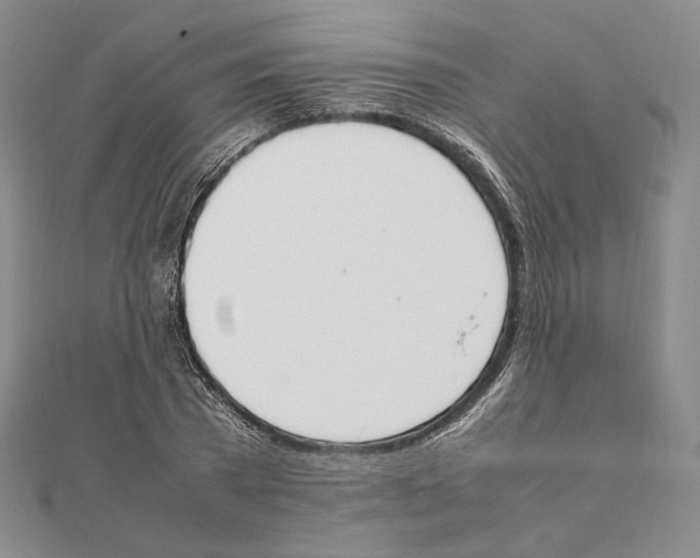 X0000111140785200907281111