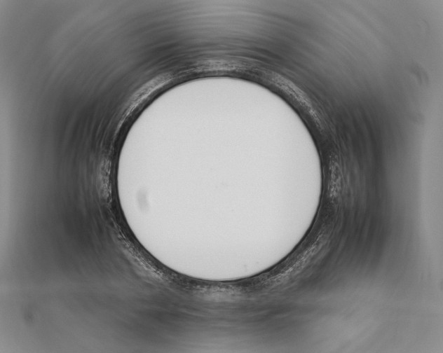 X0000111140786200907281111