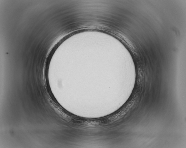 X0000111140788200907281111