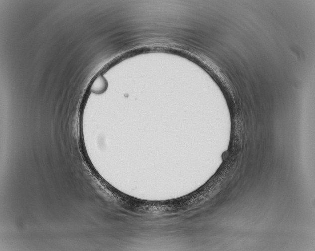 X0000111140791200907281111