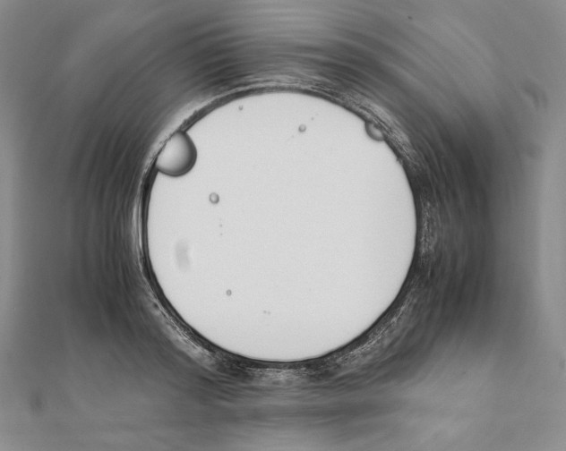 X0000111140796200907281111