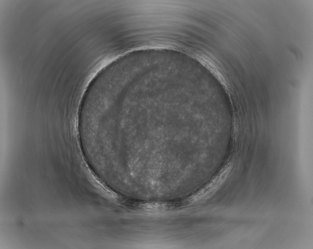 X0000111140797200907281111