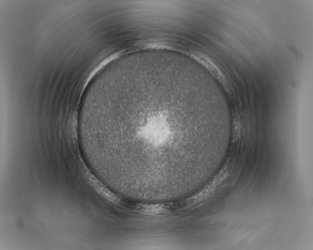 X0000111140798200907281111