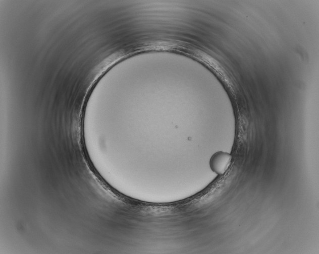 X0000111140802200907281111