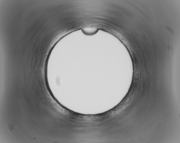 X0000111140803200907281111