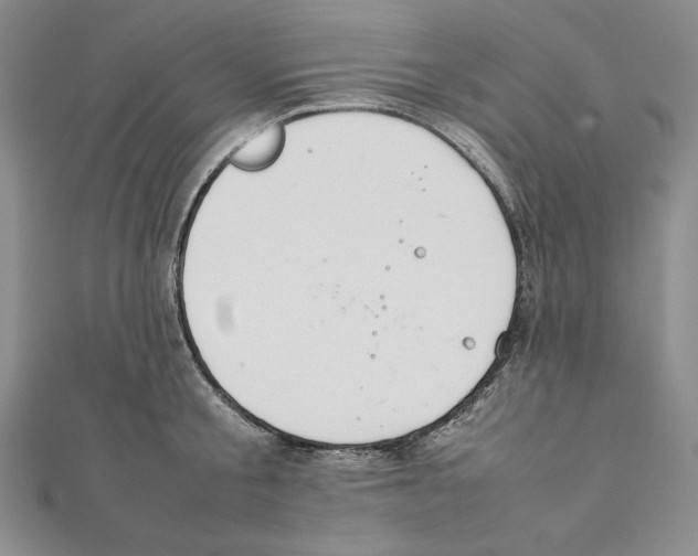 X0000111140805200907281111