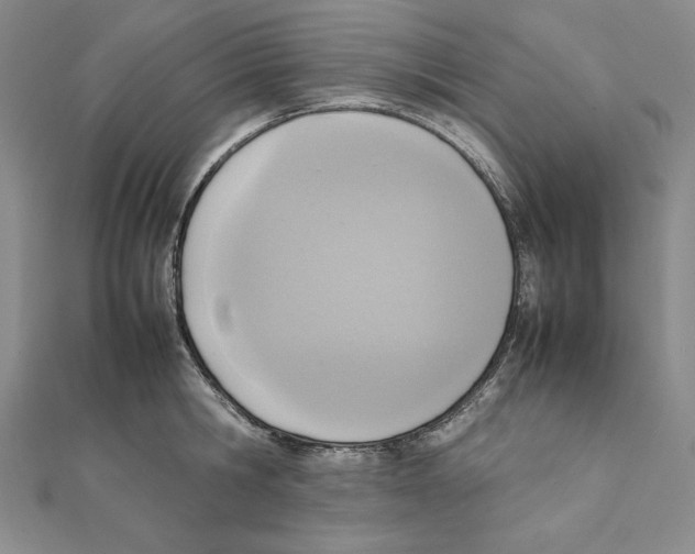 X0000111140806200907281111