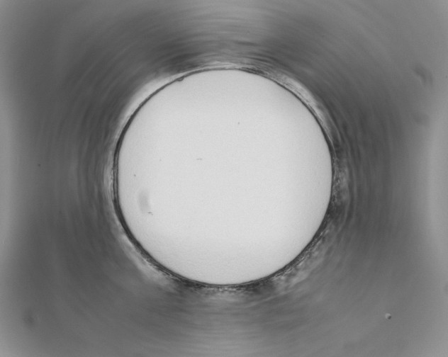 X0000111140811200907281111