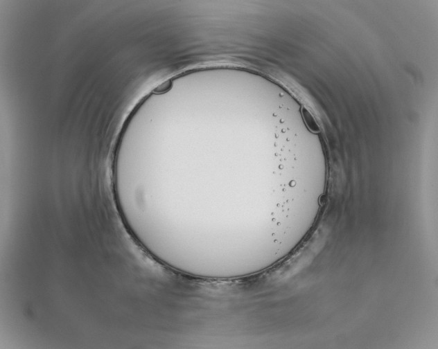 X0000111140813200907281111