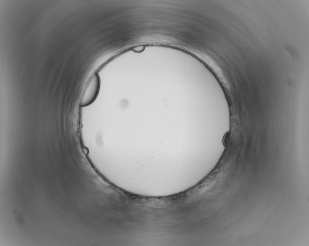 X0000111140815200907281111