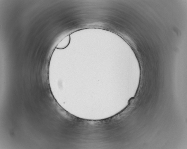 X0000111140816200907281111