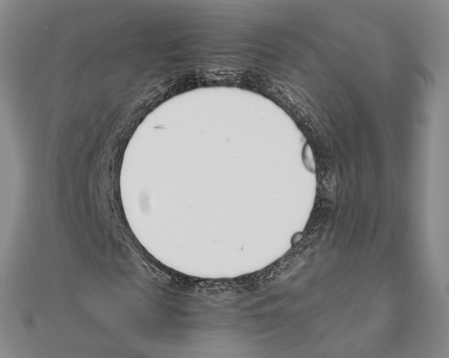 X0000111140817200907281110