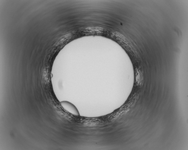 X0000111140819200907281110