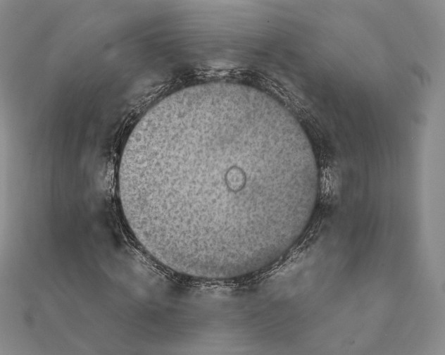 X0000111140820200907281110