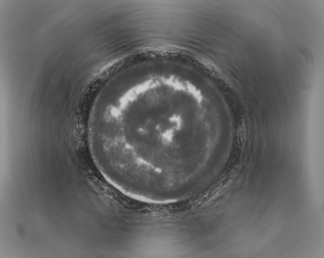 X0000111140822200907281110