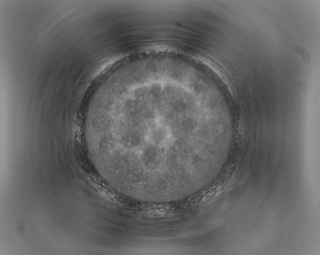 X0000111140823200907281110