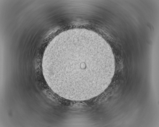 X0000111140824200907281110