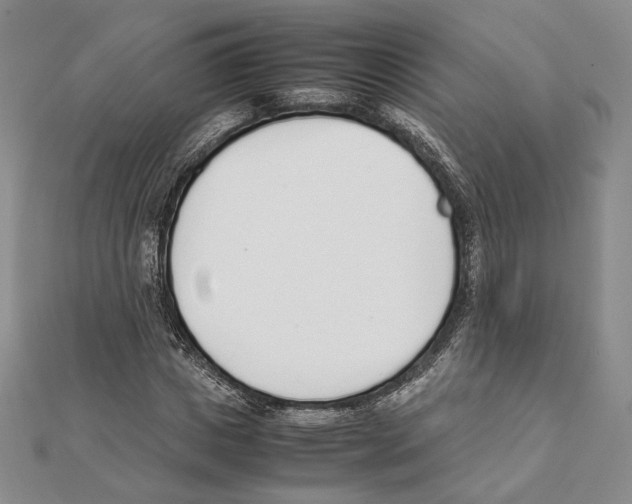 X0000111140825200907281110