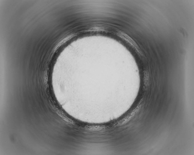 X0000111140826200907281110