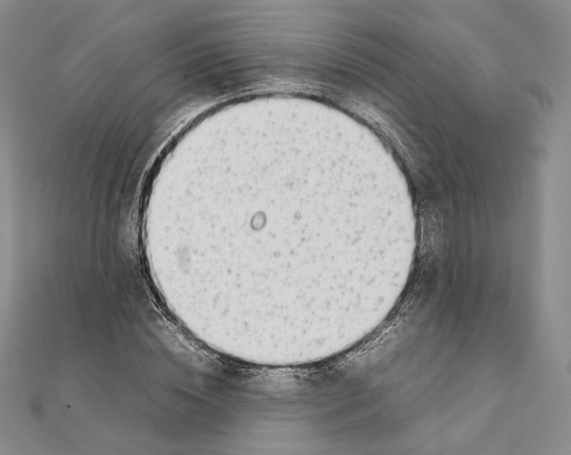 X0000111140828200907281110