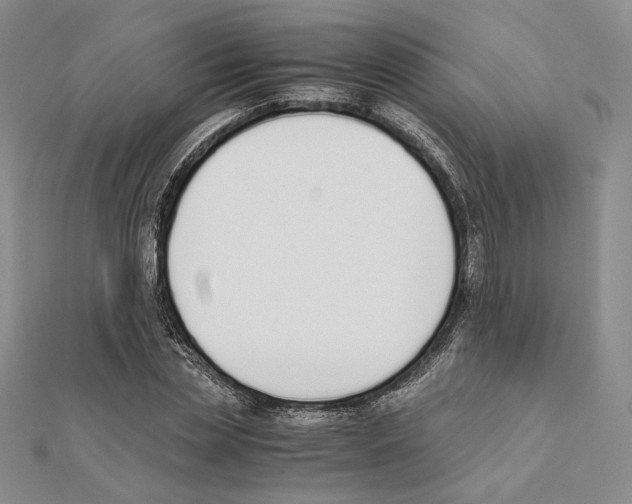 X0000111140829200907281110