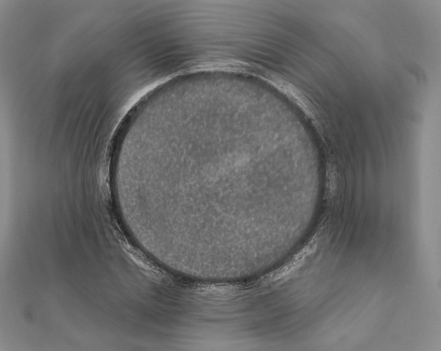 X0000111140830200907281110