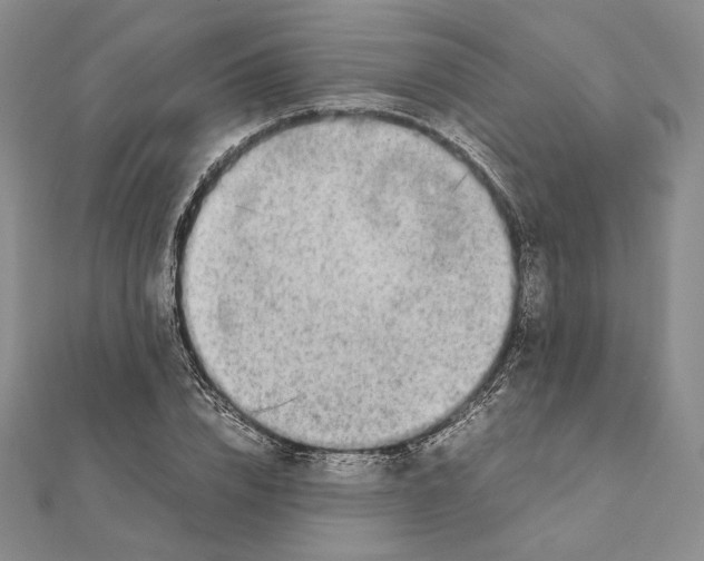 X0000111140832200907281110