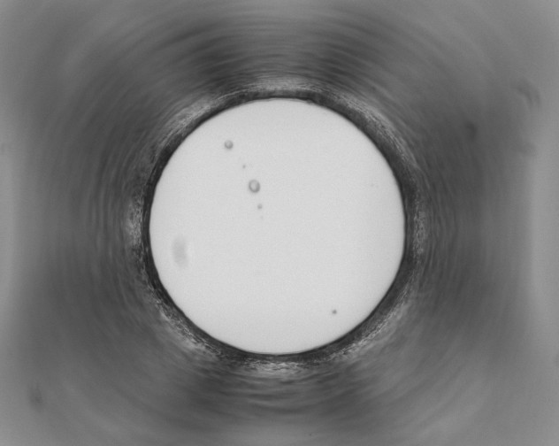 X0000111140833200907281110