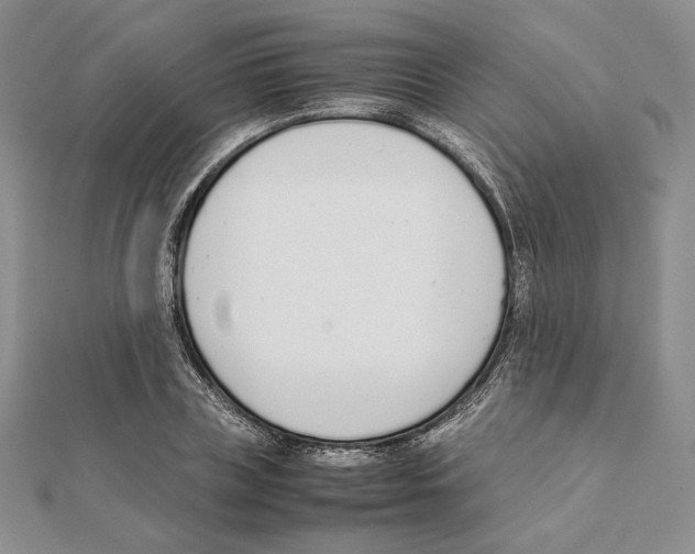 X0000111140835200907281110