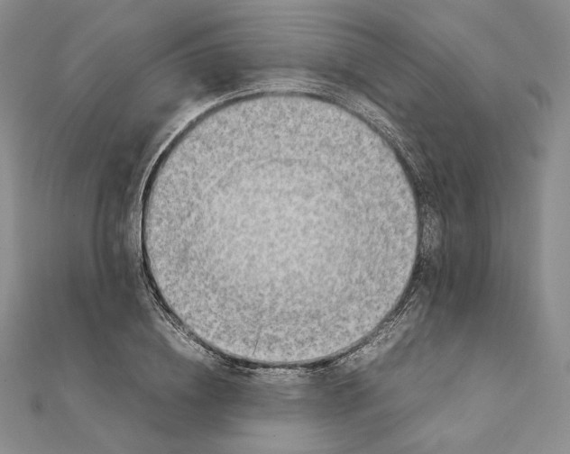 X0000111140836200907281110