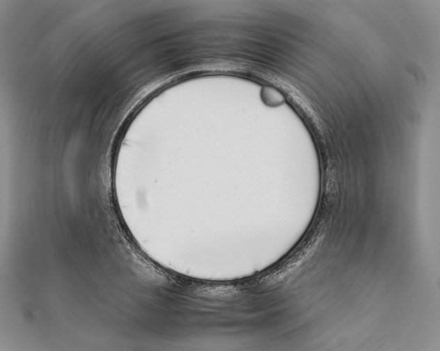 X0000111140837200907281110