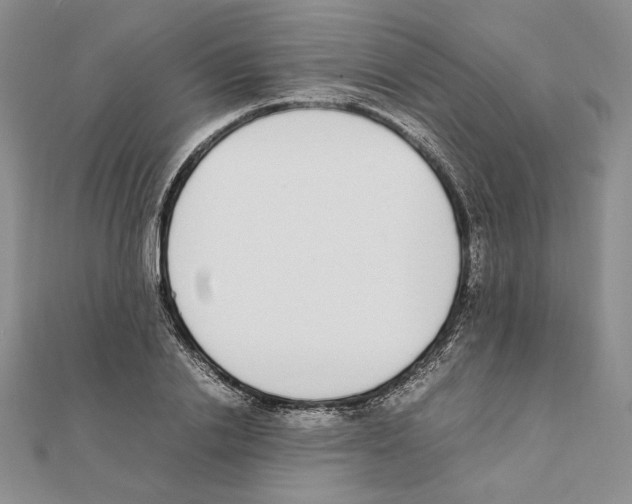 X0000111140838200907281110