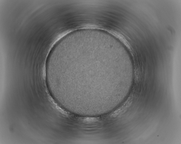 X0000111140839200907281110