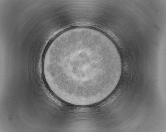 X0000111140840200907281110