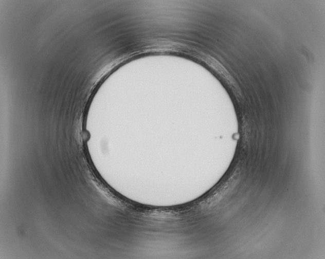 X0000111140842200907281110