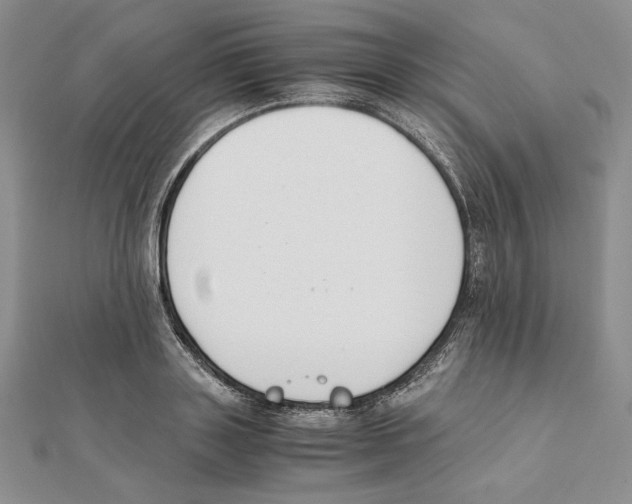 X0000111140843200907281110