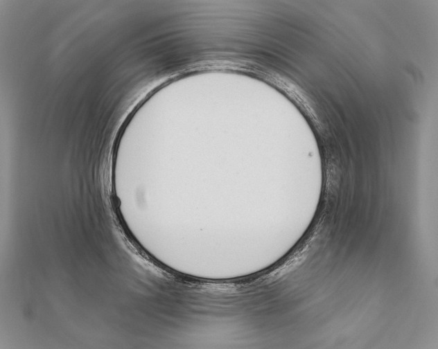 X0000111140844200907281110