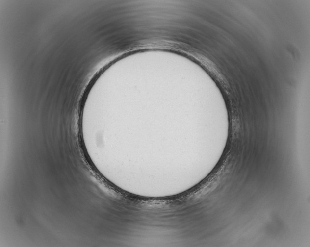 X0000111140846200907281110