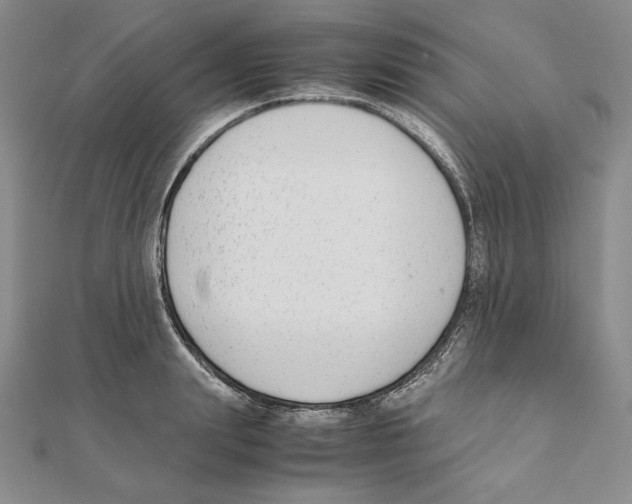 X0000111140847200907281110