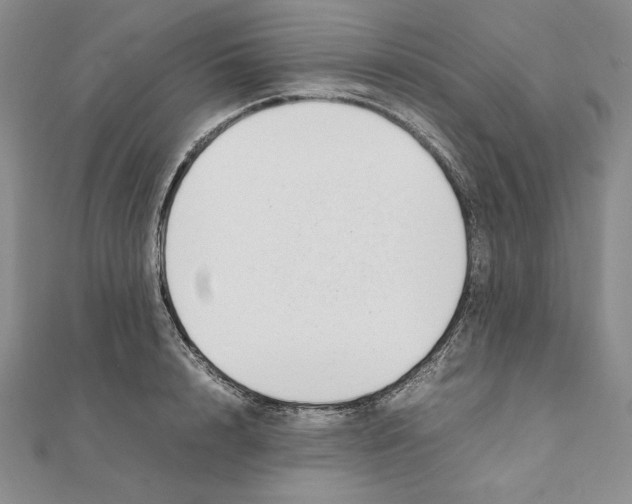 X0000111140848200907281110