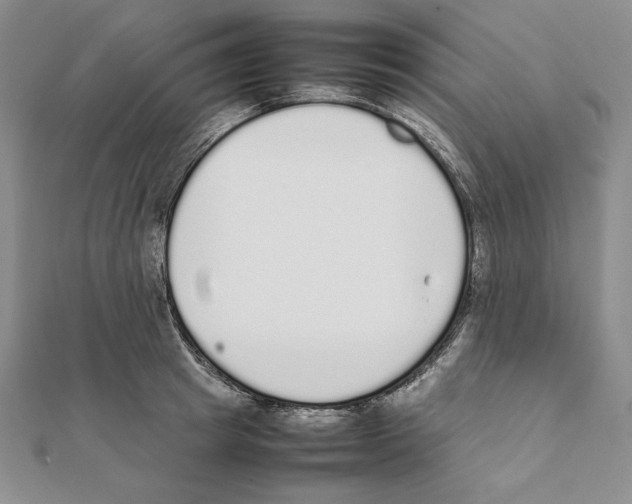 X0000111140849200907281110