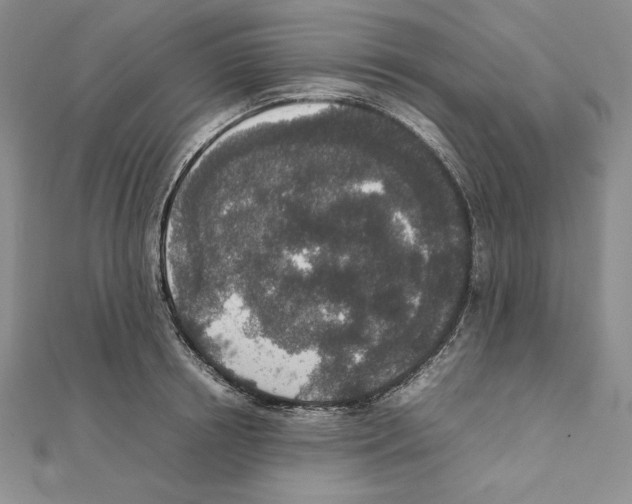 X0000111140850200907281111